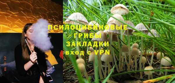 прущие грибы Алексеевка