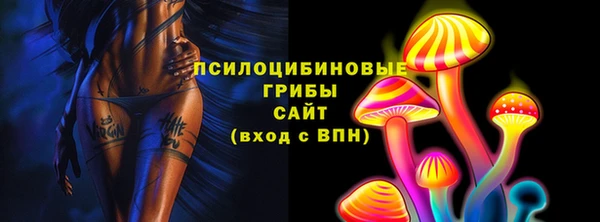 прущие грибы Алексеевка