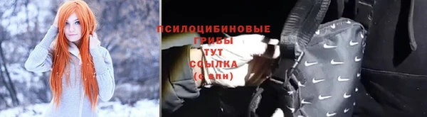 амф Алексин