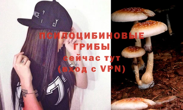 амф Алексин