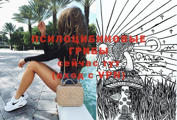 амф Алексин