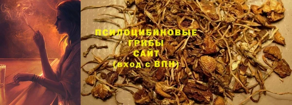 амф Алексин