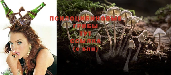 прущие грибы Алексеевка